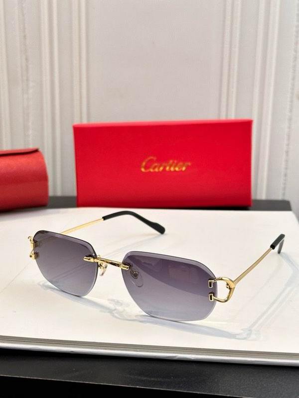 Cartier Sunglasses 1024